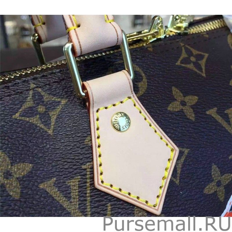 Nano Speedy Monogram Canvas M62208