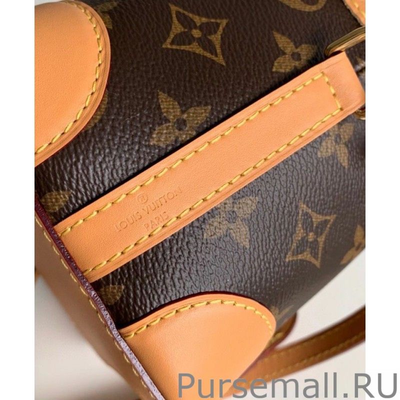 Noe Purse Bag M57099 Brown