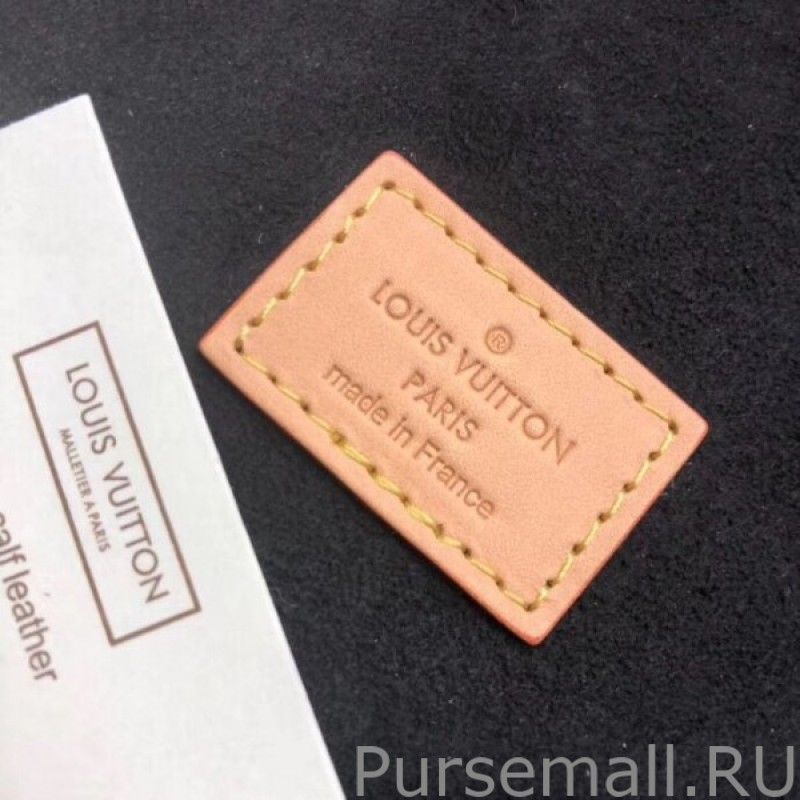 Cannes Bag Monogram Giant Canvas M44603