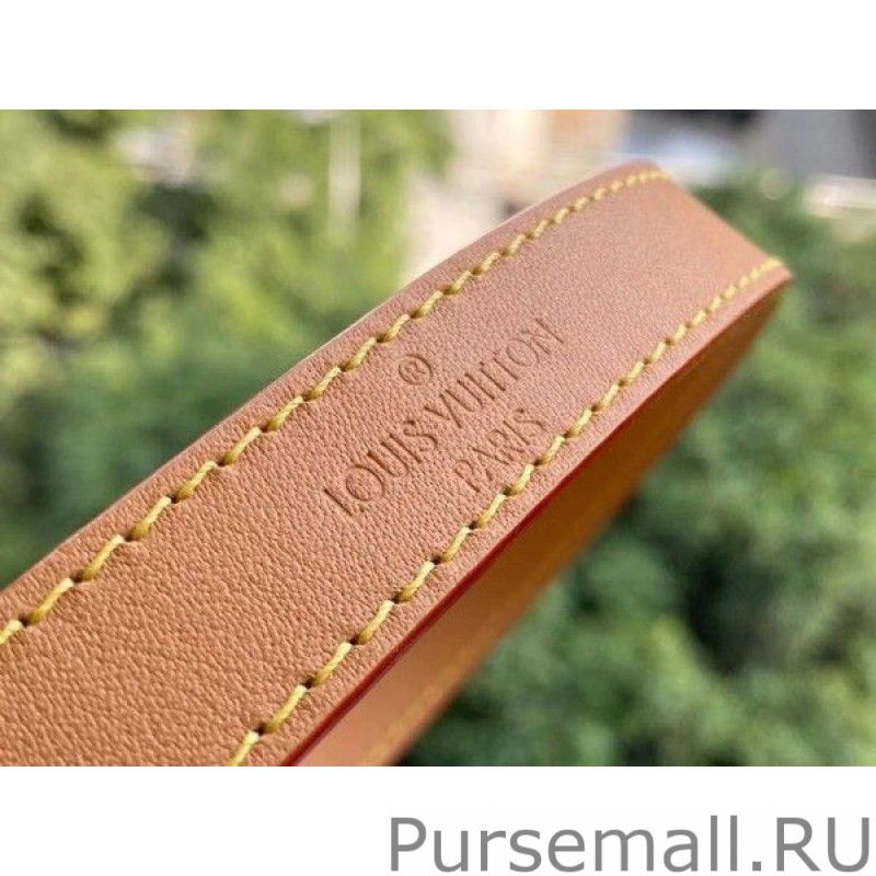 Since 1854 Dauphine MM Bag M57499