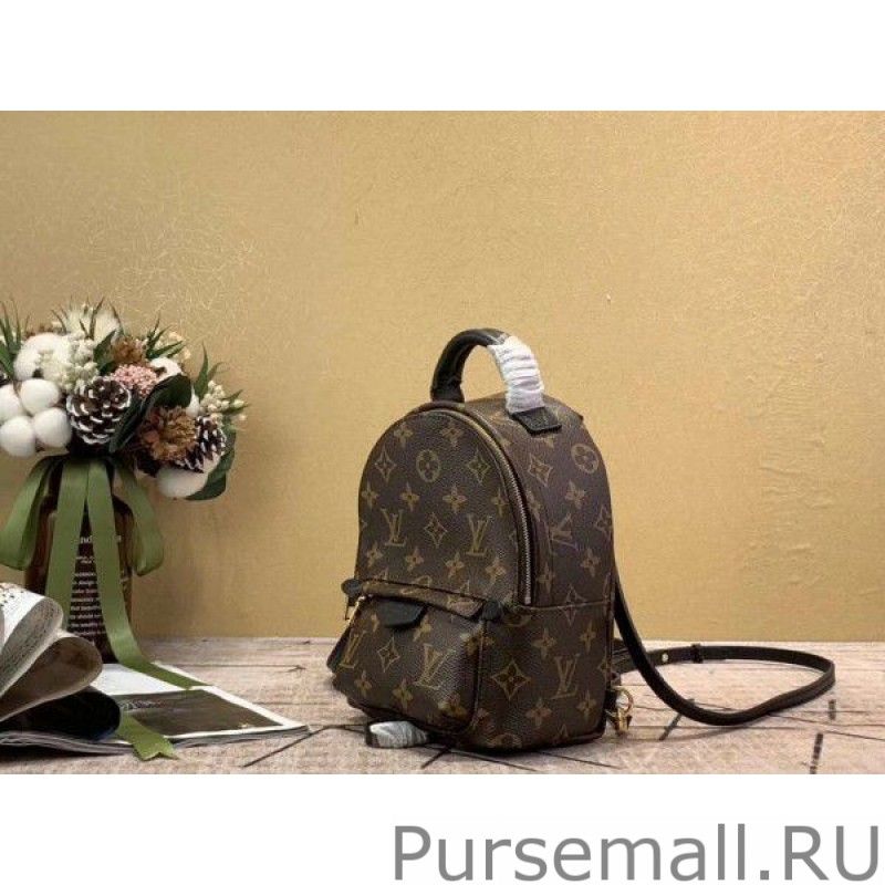 Mini Palm Springs Backpack M44873