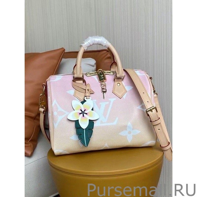 Speedy Bandoulie 25 Bag Monogram Giant M45724