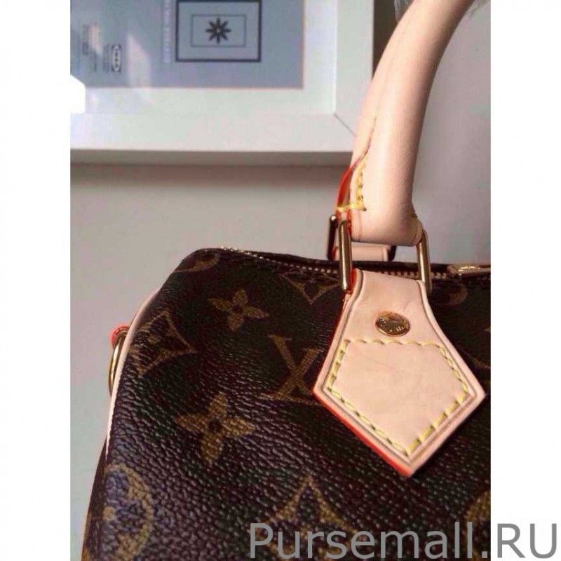 Speedy Bandouliere 25 Monogram M41113