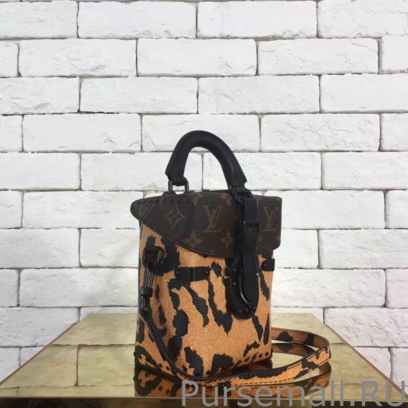 Camera Box Monogram Printed Bag M43001