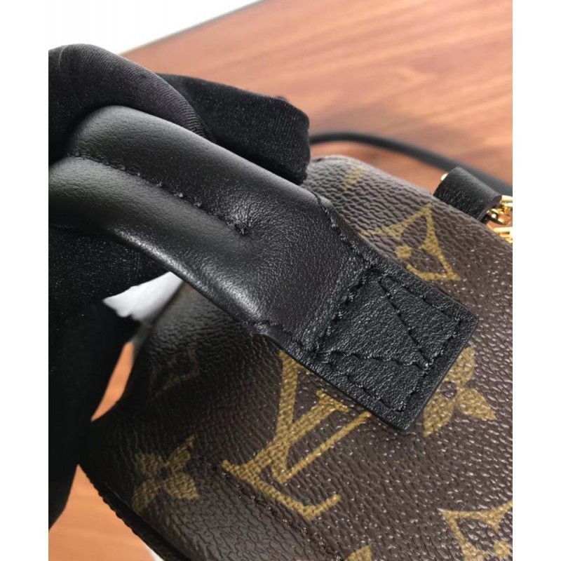 Palm Springs Backpack Mini M41562 Brown