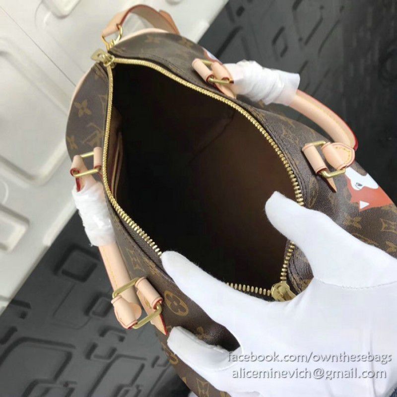 Dog Print Speedy Bandouliere 30 M41112