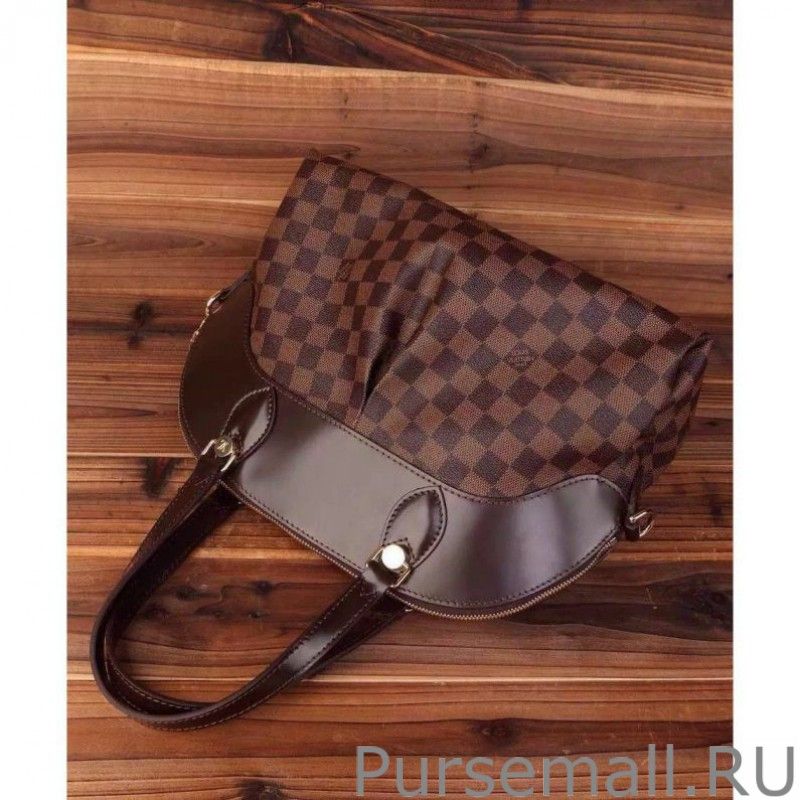 Sali Damier Ebene Canvas N41399