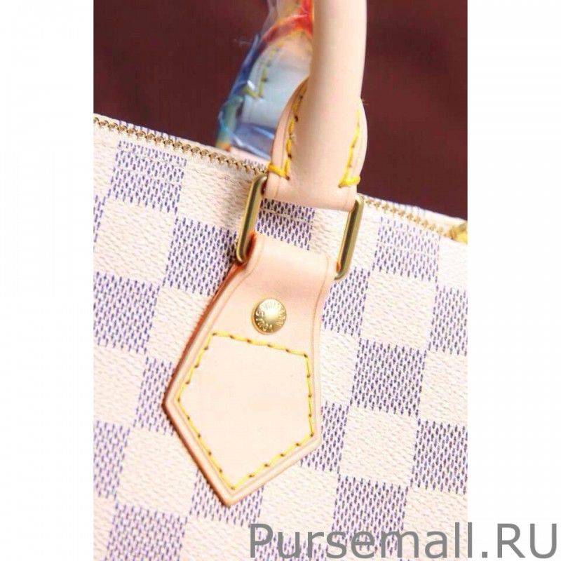 Speedy 25 Damier Azur Canvas N41534