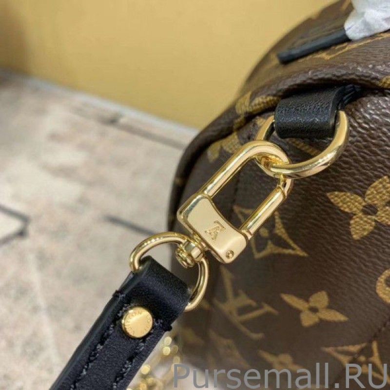 Mini Palm Springs Backpack M44873