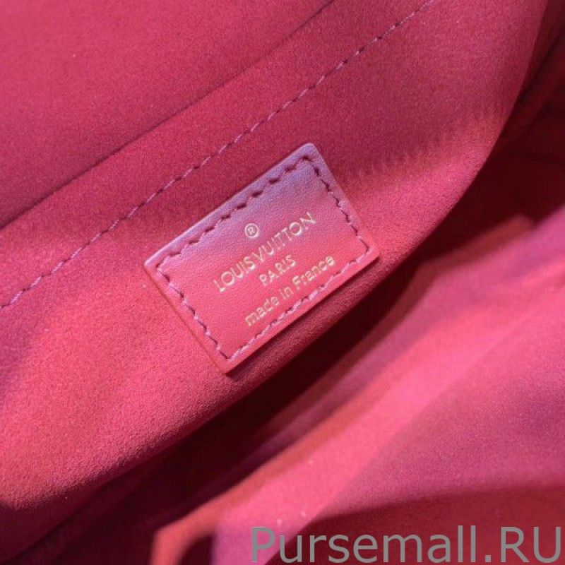 Cherry Berry New Wave Camera Bag M55330