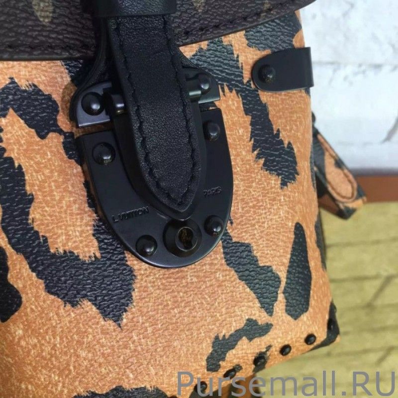 Camera Box Monogram Printed Bag M43001