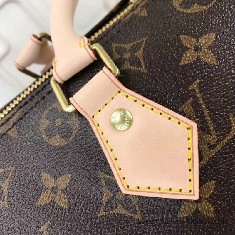 Dog Print Speedy Bandouliere 30 M41112