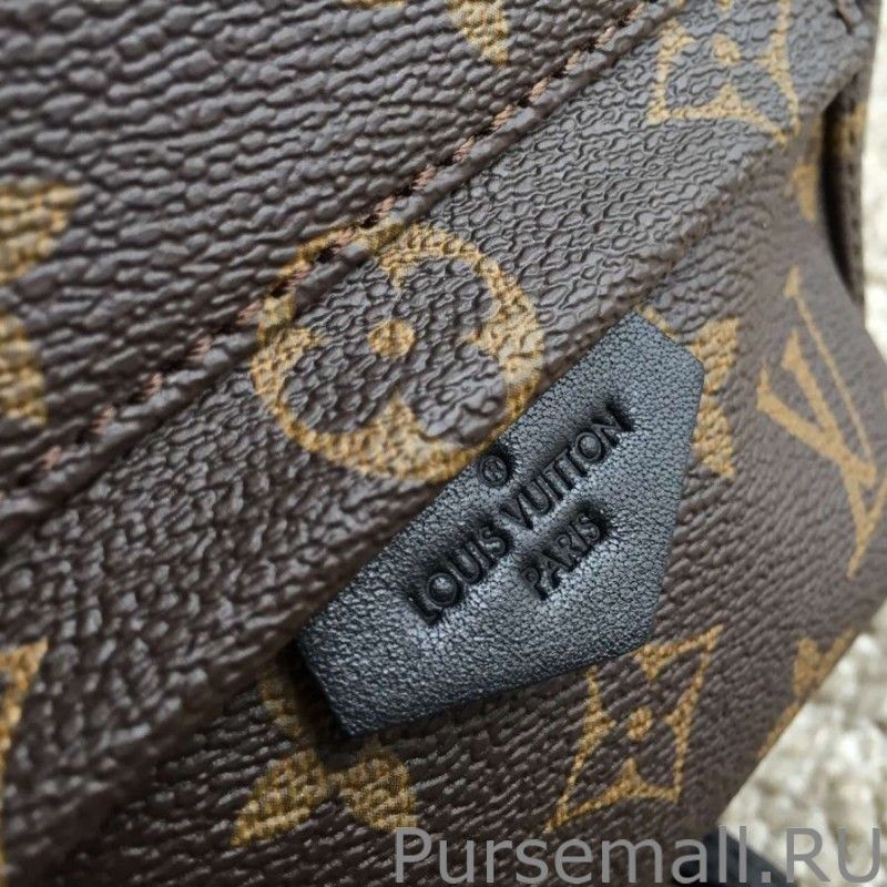 Palm Springs Backpack Mini M41562