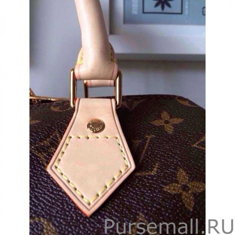 Speedy Bandouliere 25 Monogram M41113