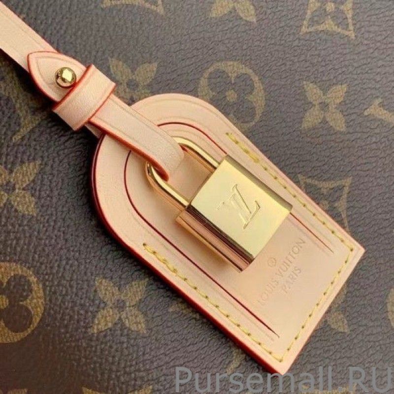 Petit Palais Bag Monogram Canvas M45900