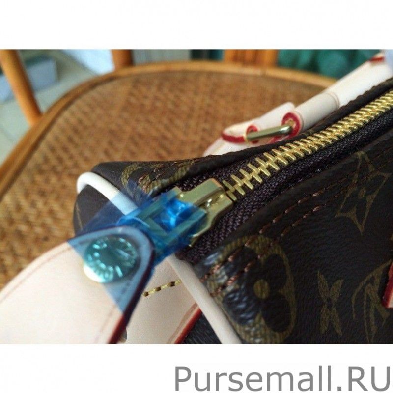 Speedy 25 Monogram Canvas M41528