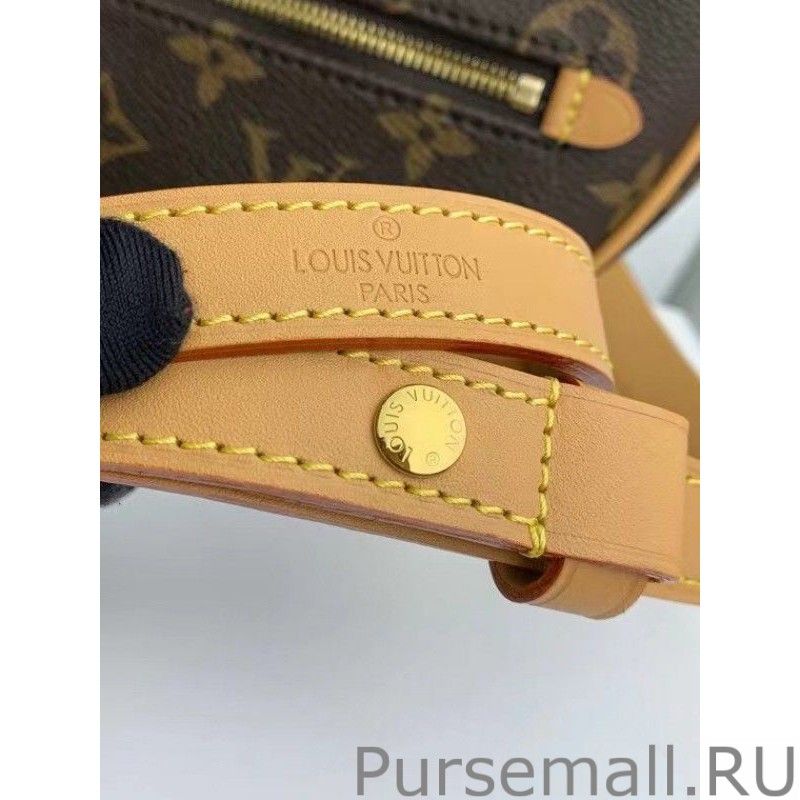 Loop Bag Monogram Canvas M81098