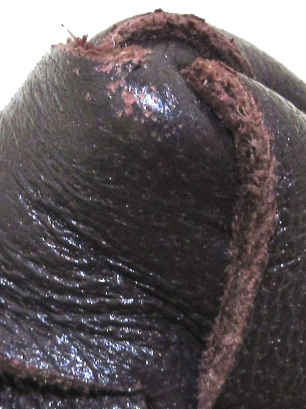 Bo*te*ga ve*ne*ta   intrecciato twist clutch bag