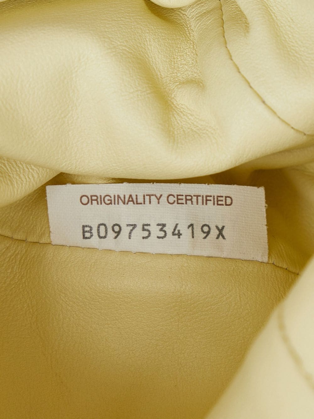 Bo*te*ga ve*ne*ta   the mini pouch bag